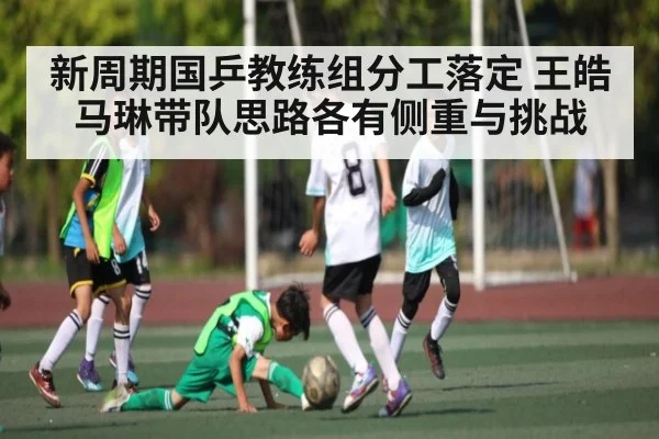新周期国乒教练组分工落定 王皓马琳带队思路各有侧重与挑战